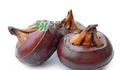 荸荠的功效作用,荸荠的功效作用和禁忌