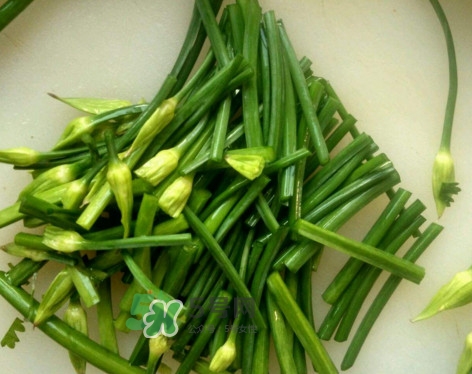 韭菜苔是什么季节的菜,韭菜苔是什么 韭菜苔是什么季节的菜,韭菜苔是什么