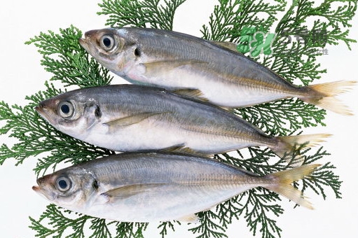 龙利鱼和鳕鱼哪个好吃,鳕鱼好还是龙利鱼好 龙利鱼和鳕鱼哪个好吃,鳕鱼好还是龙利鱼好