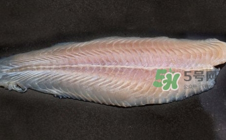 龙利鱼是巴沙鱼吗?,巴沙鱼和龙利鱼有什么区别