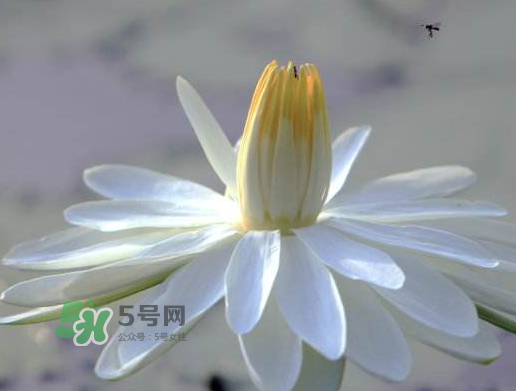 今年处暑是几月几日,2016年最低气温是多少