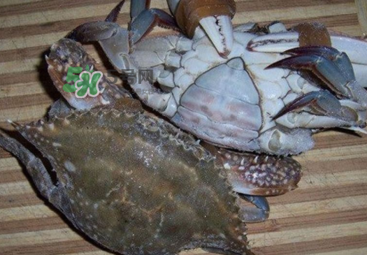 梭子蟹放冷冻保存多久,梭子蟹冰冻可以放多久 梭子蟹放冷冻保存多久,梭子蟹冰冻可以放多久