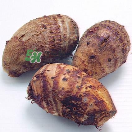 什么节日吃芋头,新年吃芋头意义