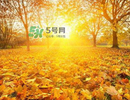 立秋后吃什么好食物最养生,立秋后吃什么好食物最养生窍门 立秋后吃什么好食物最养生,立秋后吃什么好食物最养生窍门