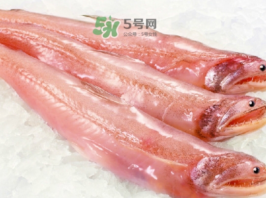 水潺鱼的营养价值,水潺的营养价值及功效