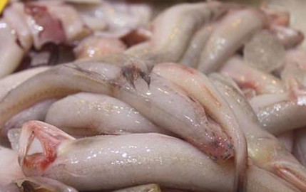 龙头鱼干怎么做好吃窍门,龙头鱼干怎么做好吃