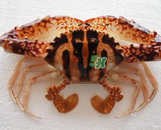 大闸蟹有什么营养和功效,大闸蟹有什么营养