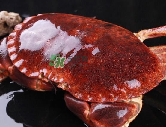 面包蟹的功效和作用,面包蟹的功效和作用及禁忌