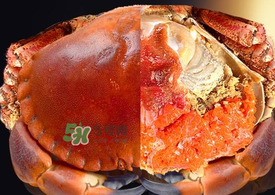 面包蟹可以水煮吗,面包蟹怎么做法 面包蟹可以水煮吗,面包蟹怎么做法