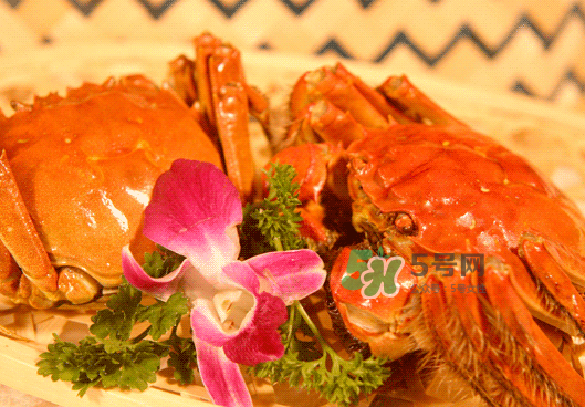 大闸蟹为什么会苦 大闸蟹发苦怎么办,大闸蟹发苦怎么办 大闸蟹为什么会苦 大闸蟹发苦怎么办,大闸蟹发苦怎么办