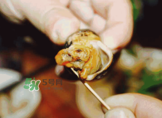 海螺应该怎么吃比较好,海螺咋吃好吃