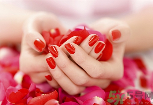 钙果生长什么环境里呢(钙果的生长环境要求)