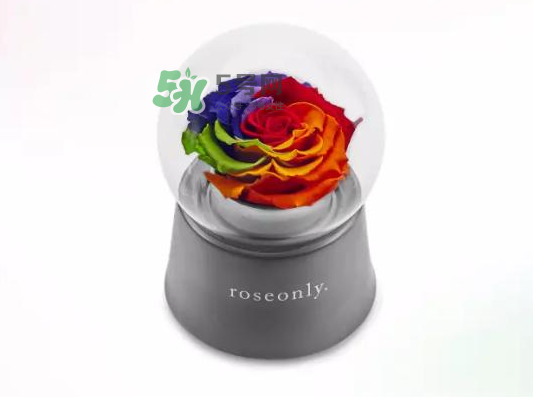 roseonly音乐盒的音乐是什么,roseonly星座音乐盒