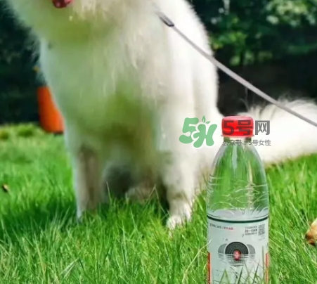 农夫山泉网易云音乐瓶图片,网易云音乐和农夫山泉合作案例 农夫山泉网易云音乐瓶图片,网易云音乐和农夫山泉合作案例