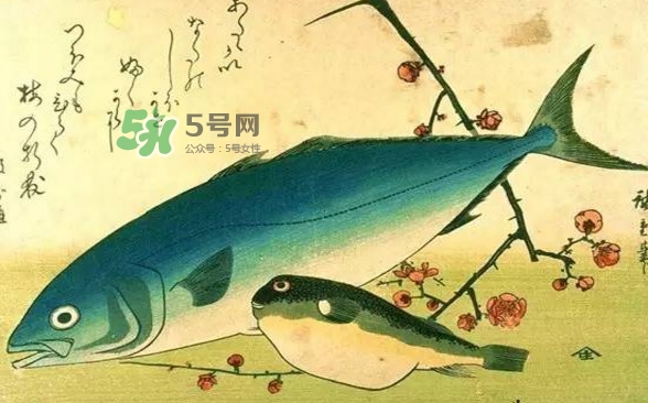 河鲀哪里有毒,箱鲀鱼有毒吗