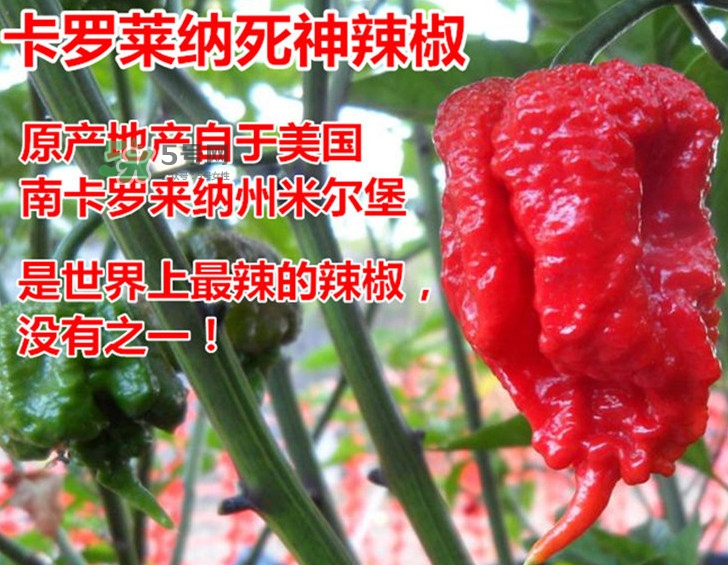 死神辣条为什么那么辣,死神辣条为什么这么辣