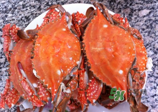 吃梭子蟹的最佳时间,吃梭子蟹的最佳时期