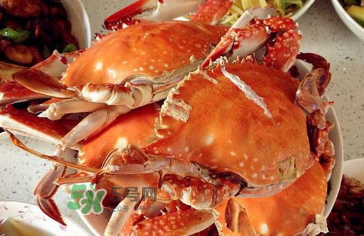 梭子蟹为什么没有蟹黄,梭子蟹有没有蟹黄