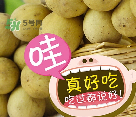 孕妇吃龙宫果的功效,龙宫果有什么功效