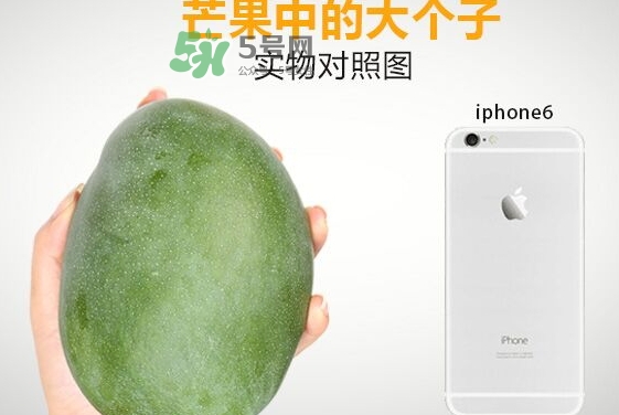 凯特芒果好吃吗,凯特芒果好吃吗?甜吗?