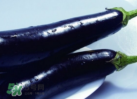 8月吃什么时令蔬菜,八月份时令蔬菜有哪些