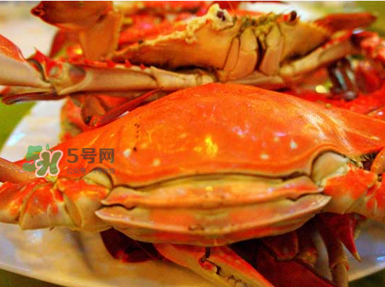 海蟹的营养价值及热量,海蟹的营养价值表