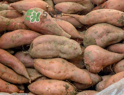 地瓜煮多久能熟透,水煮地瓜煮多久能熟