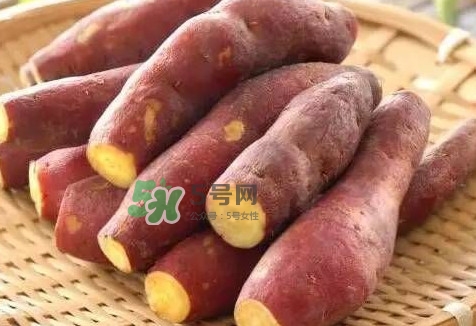 地瓜怎么吃啊有几种吃法,地瓜怎么吃最有营养