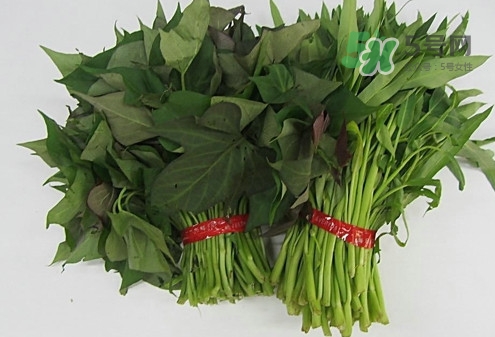 什么人不能吃红薯叶是温性吗,什么人不能吃红薯叶?