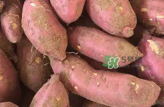 拔丝地瓜怎么熬糖用水还是油好,拔丝地瓜怎么熬糖