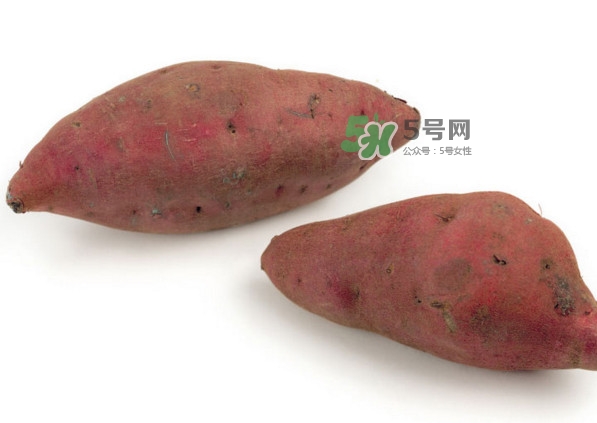 地瓜跟红薯有区别吗,地瓜和红薯有区别吗 地瓜跟红薯有区别吗,地瓜和红薯有区别吗