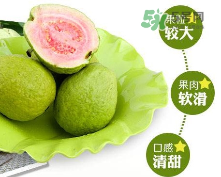 如何挑选红心芭乐,什么是红心芭乐