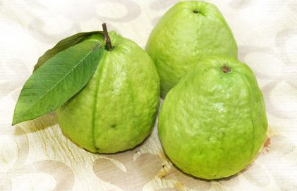 芭乐怎么催熟最快,红心芭乐怎么催熟