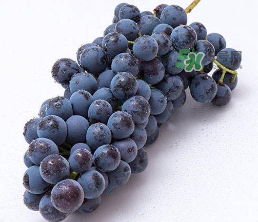 云南夏黑葡萄好吃吗,夏黑葡萄好吃吗