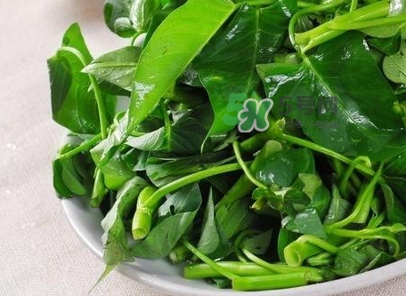 菜心放冰箱能放几天,包心菜放冰箱能放几天