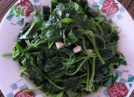 野苋菜怎么吃,野苋菜怎么吃最好