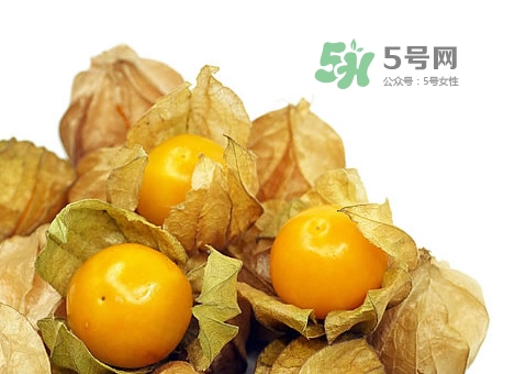 姑娘果有什么功效及作用?,姑娘果有什么功效