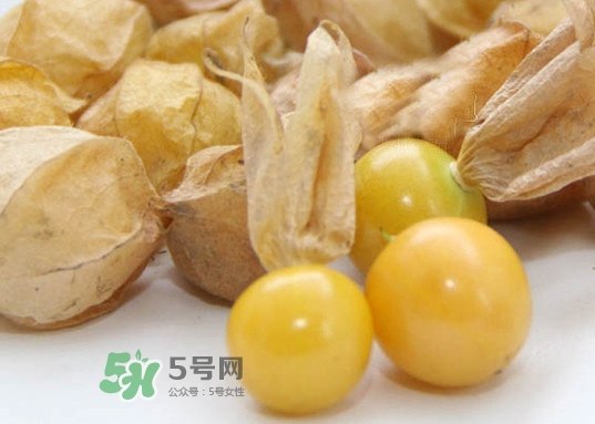 黄菇娘的种植注意事项,黄蘑菇可以人工种植吗