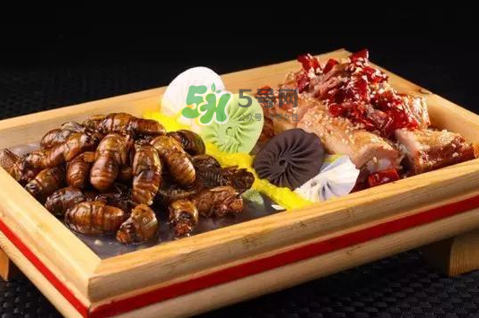 金蝉哪些人不能吃,金蝉花什么人不能吃