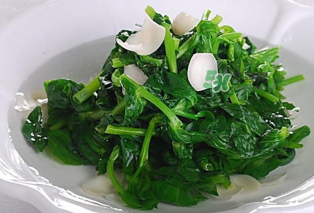 木耳菜的好处,吃木耳菜的好处和坏处