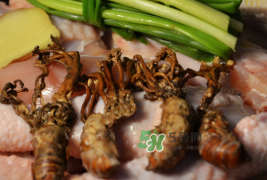 知了花是怎么形成的,知了的特征有哪些