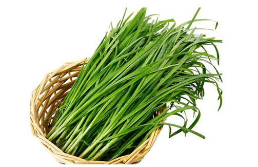 韭菜可以和豆腐一起吃吗,韭菜和豆制品能一起吃吗