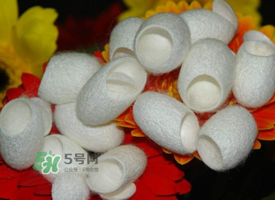 蚕茧的药用价值及功效,蚕茧的药用价值 蚕茧的药用价值及功效,蚕茧的药用价值