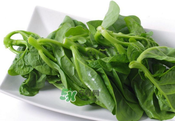 炒木耳的做法窍门,凉拌木耳的做法 炒木耳的做法窍门,凉拌木耳的做法