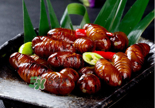 蚕蛹的营养成分表,蚕蛹的营养成分含量表