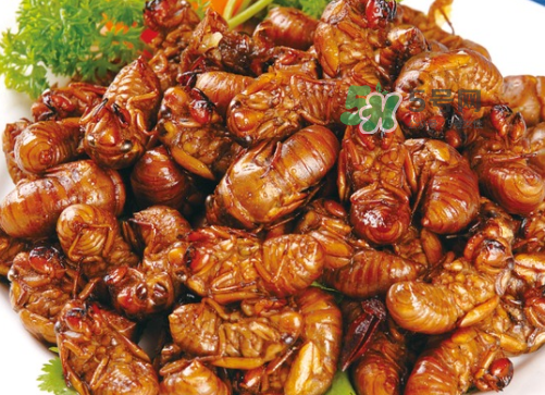 金蝉怎么保存才新鲜,野生金蝉花保质期多长时间