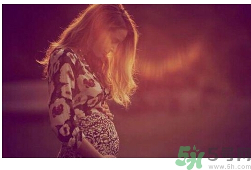 怀孕十周有多大,怀孕十周胎儿图片有多大