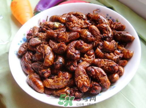 托运行李包装规定,托运行李包装要求 托运行李包装规定,托运行李包装要求