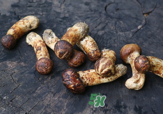 新鲜松茸怎么吃最有营养,松茸怎么吃最有营养