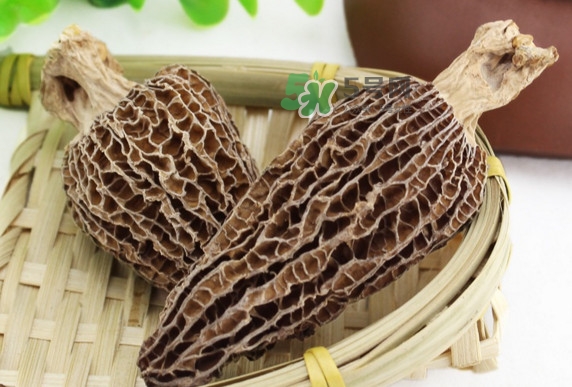 羊肚菌为什么这么贵,羊肚菌越大越贵吗